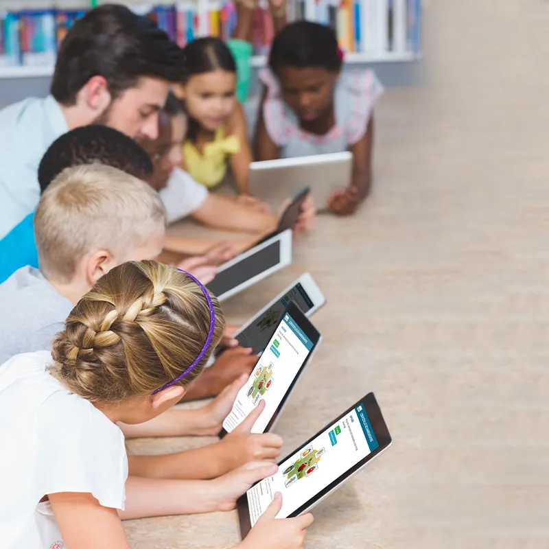 Nachbestellung Marienkäfer-Larven, 10-15 Stück