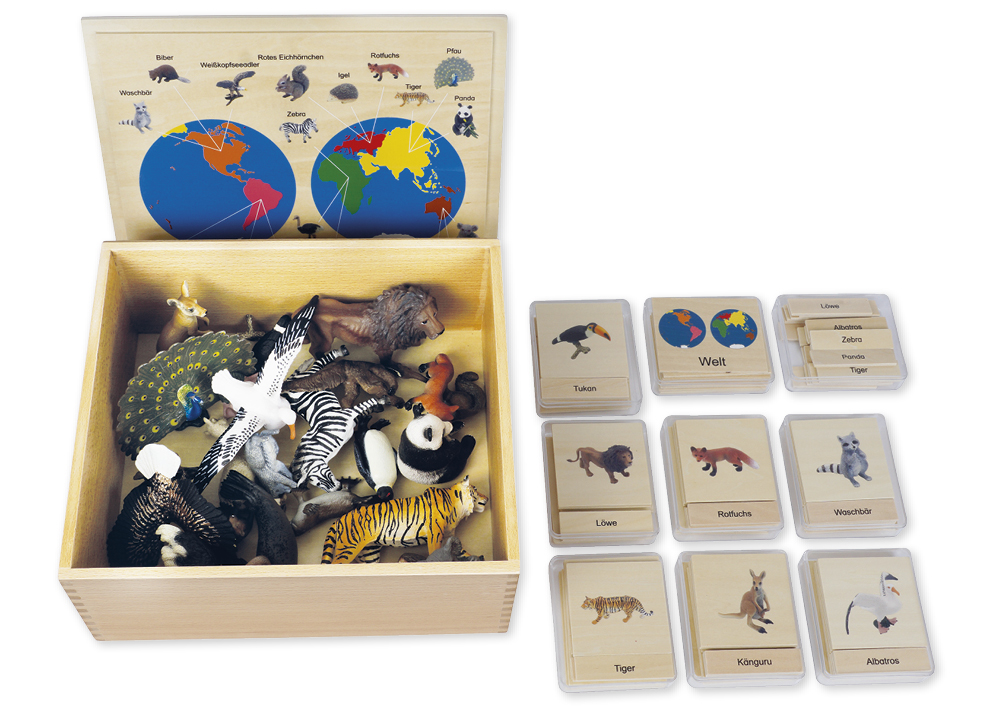 TimeTEX Tier-Kontinent-Box "Montessori Premium"