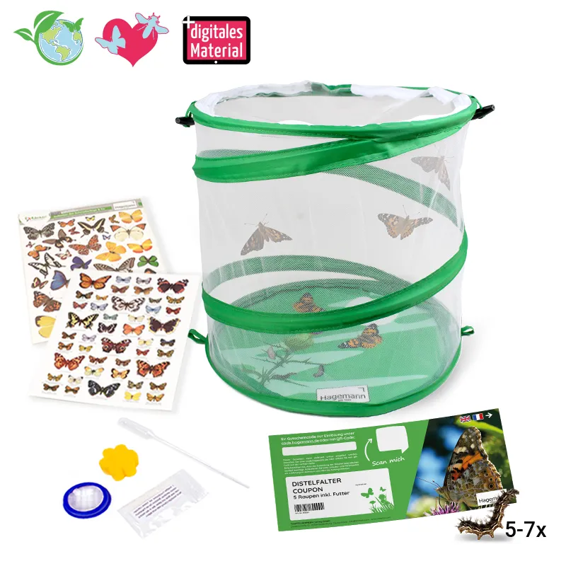 Gutschein-Set "Schmetterlinge", kompakt, 8-tlg.