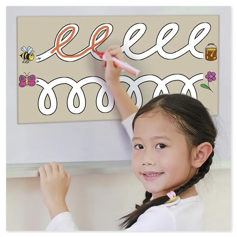 TimeTEX Whiteboard-Demo-Schwungübungen, magnetisch, 2-tlg.