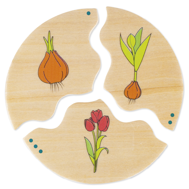 beleduc Entwicklung, 10 Puzzles 