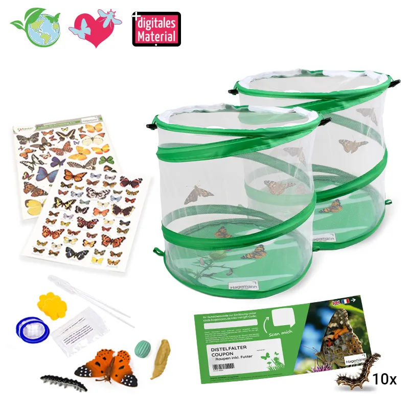 Gutschein-Set "Schmetterlinge", groß, 12-tlg.