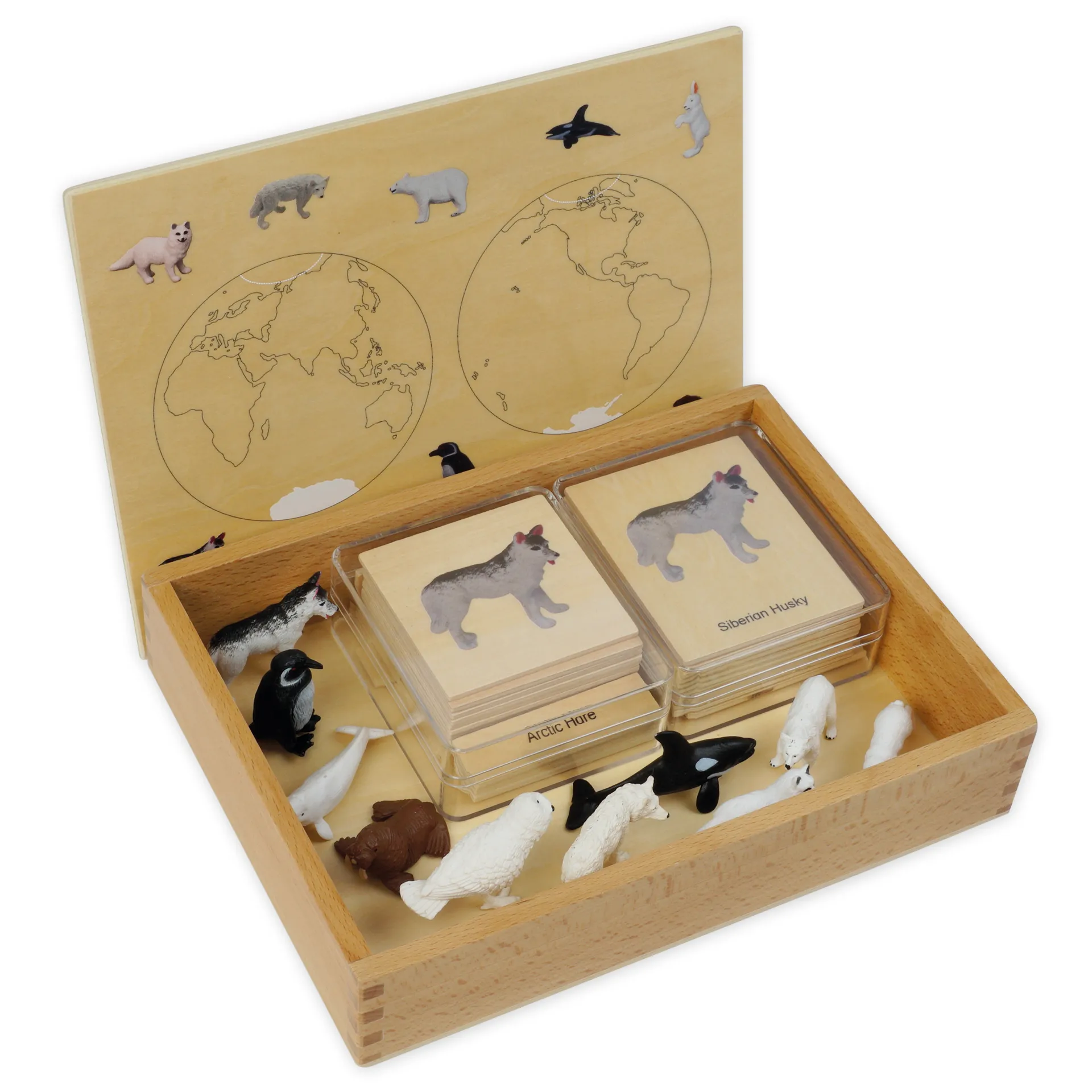 TimeTEX Mini-Polartiere-Set "Montessori Premium"