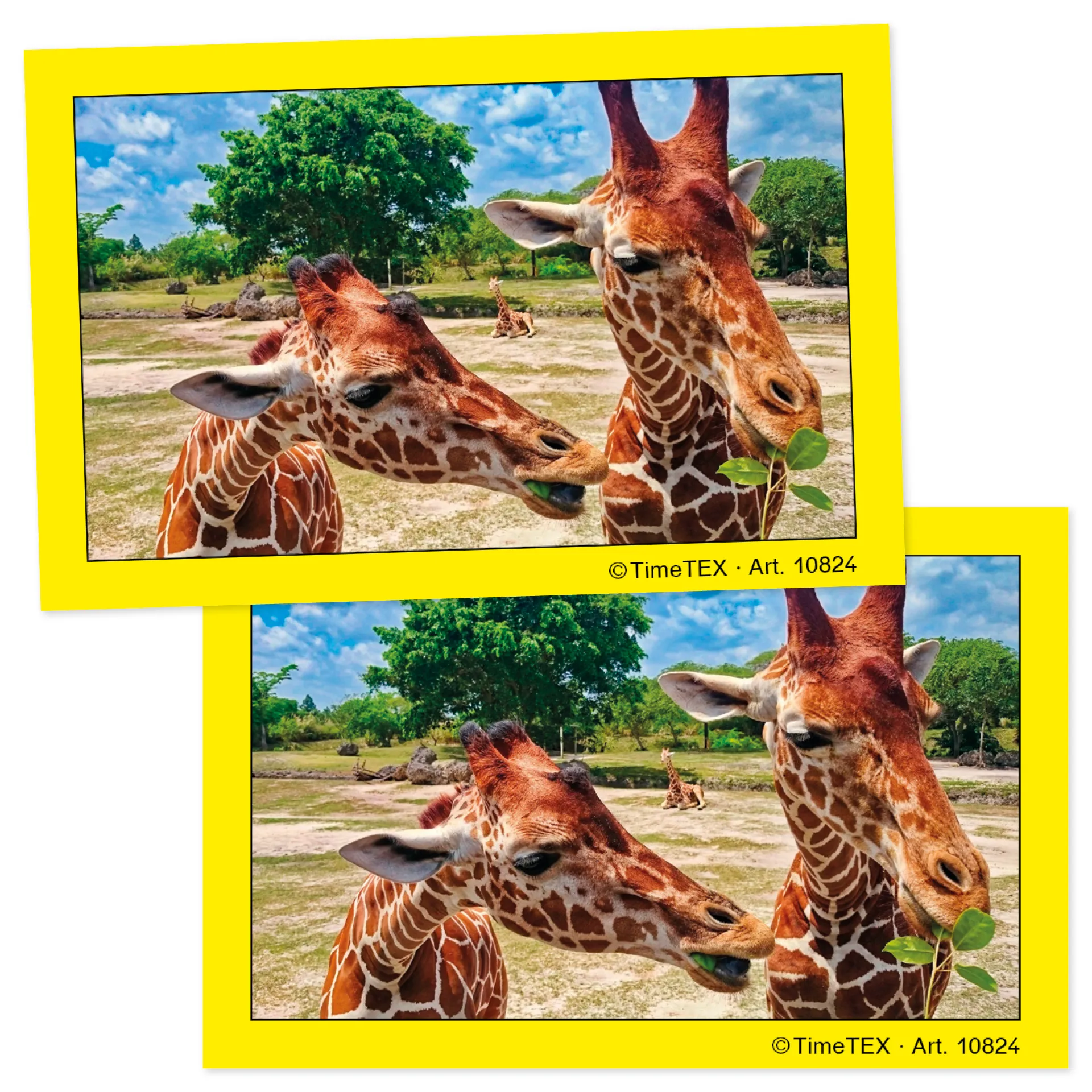 Karty parowania TimeTEX, 35 szt. w walizce