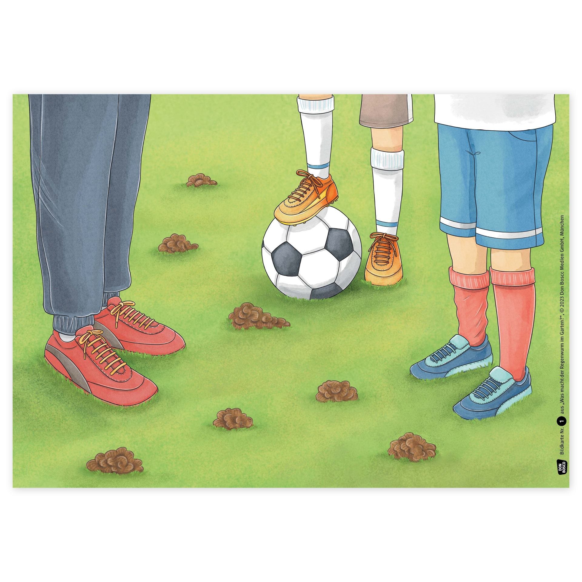 Bildergeschichten-Karten "Was macht der Regenwurm im Garten?", 12-tlg.