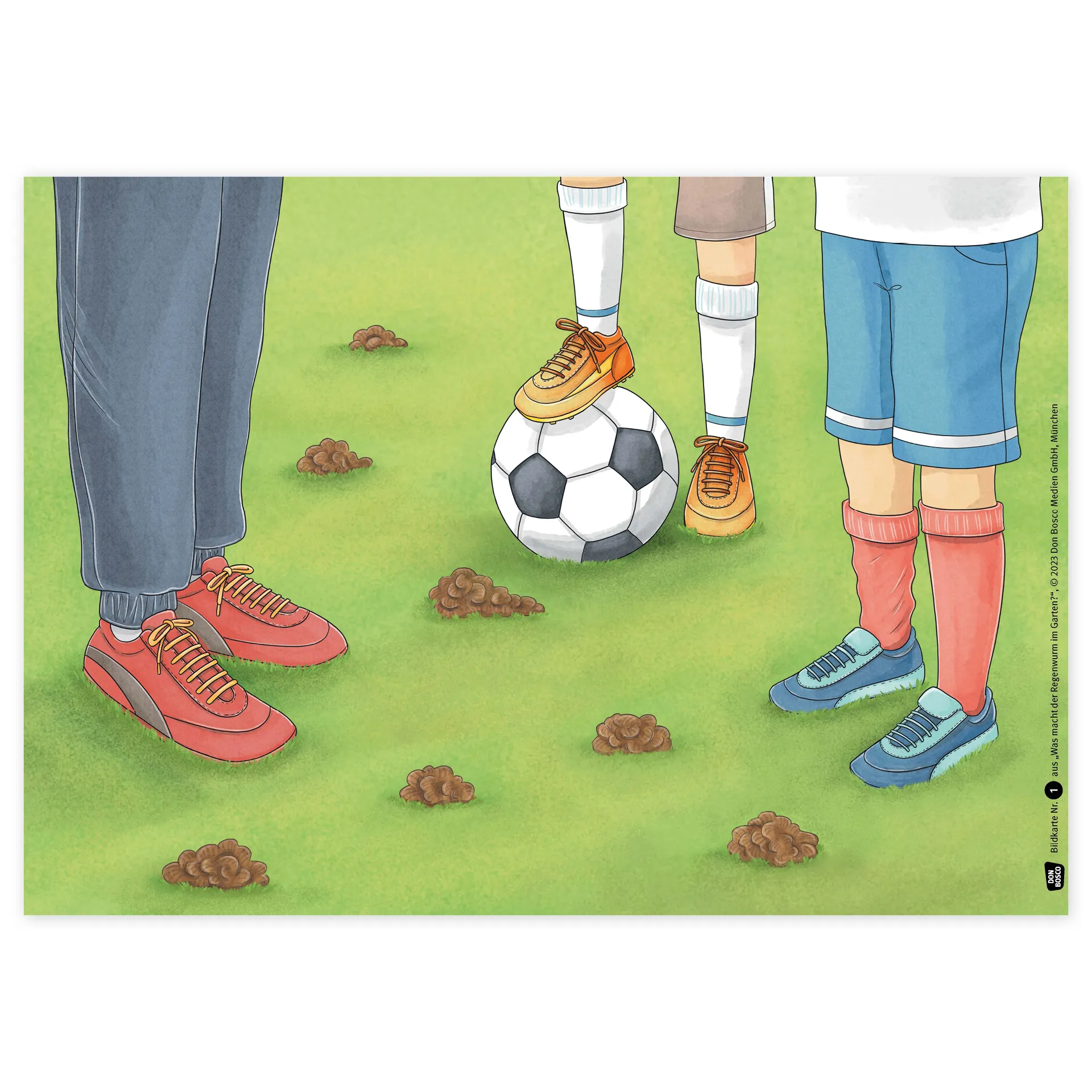 Bildergeschichten-Karten "Was macht der Regenwurm im Garten?", 12-tlg.