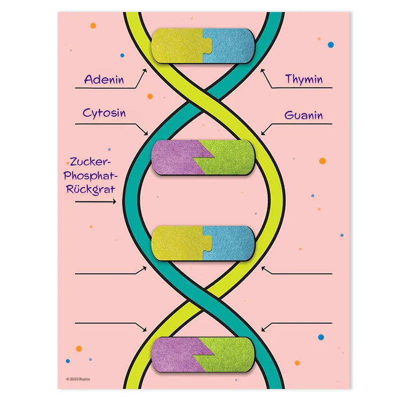 Bausatz "DNA", 9-tlg.