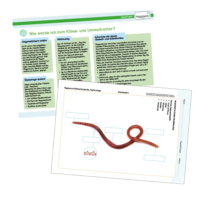 Zuchtset "Regenwürmer", 5-tlg.