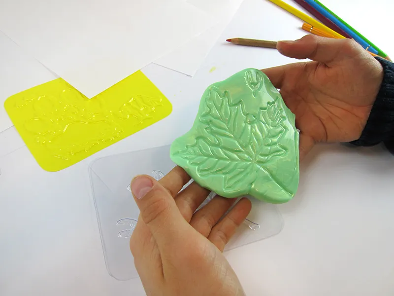 Natur-Rubbelplatten "Insekten", 16-tlg.