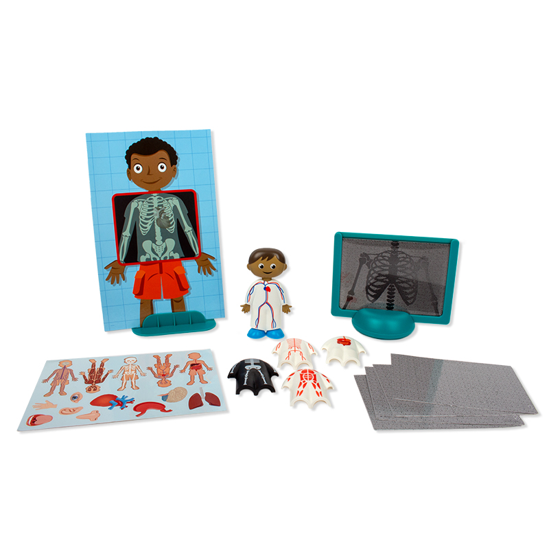 Hagemann Der Menschliche Körper, Steck-Set, 17 tlg.