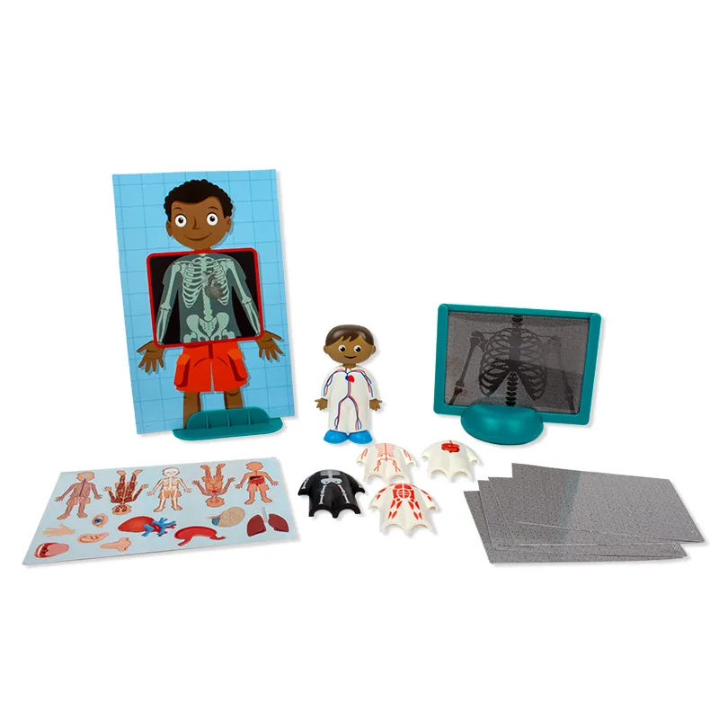 Lernspiel "Der menschliche Körper", Steck-Set, 17-tlg.