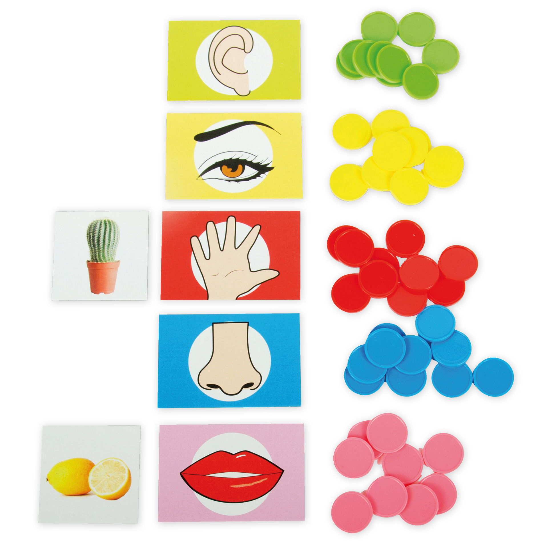 Hagemann Lernspiel "Wecke deine Sinne", 101-tlg.