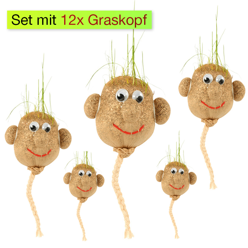Główka trawy