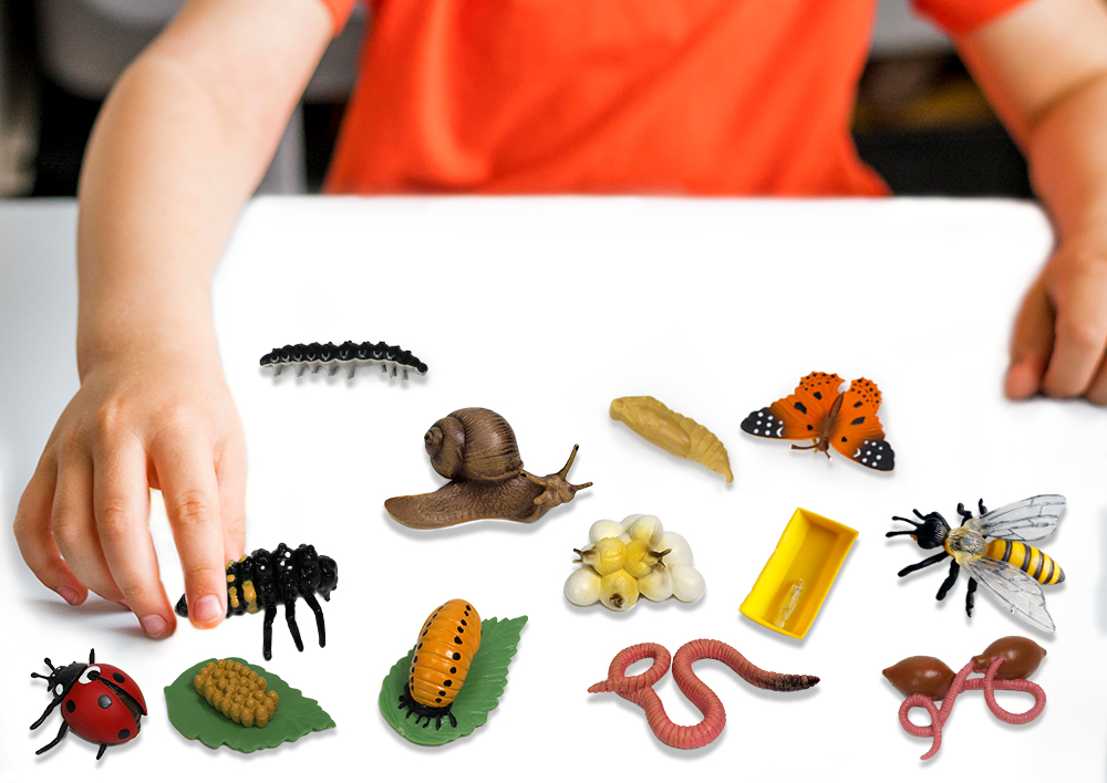 Set de modèles de cycle de vie avec figurines « Insectes & Co. », 20 pcs