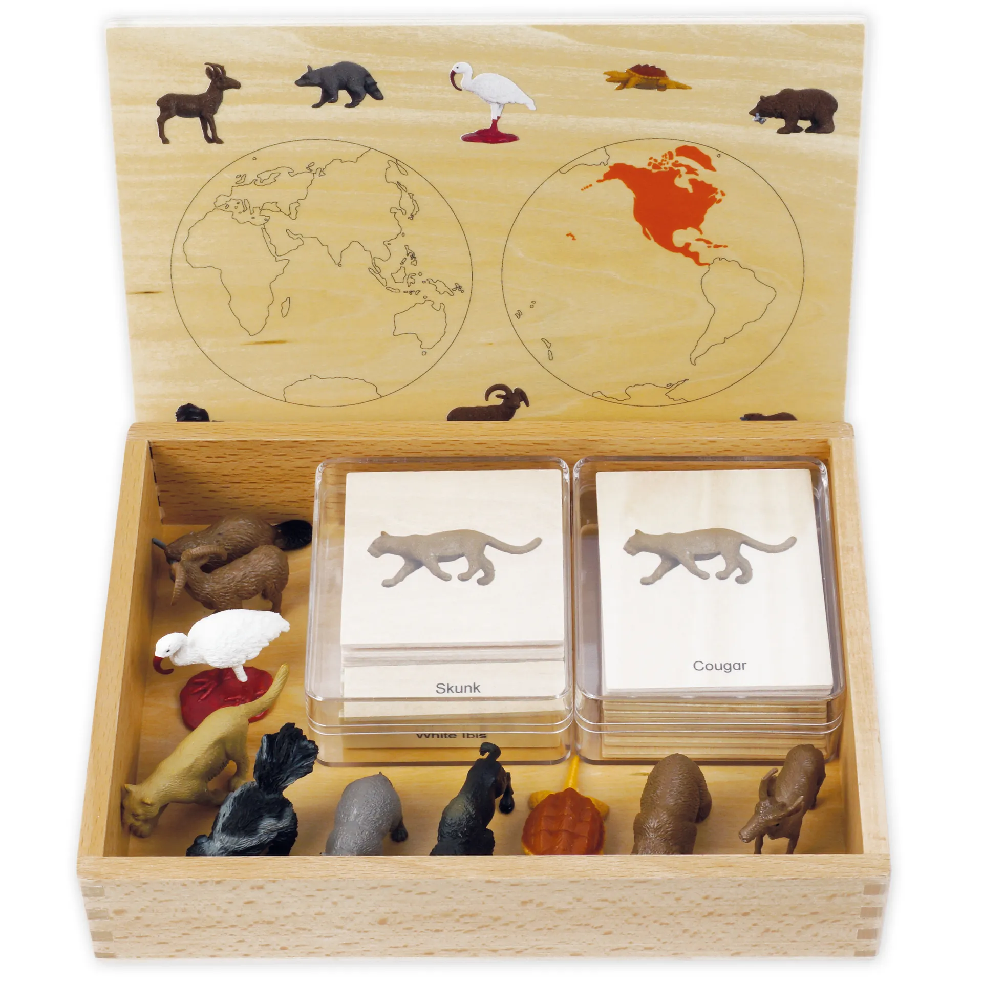 TimeTEX Mini-Tiere-Set Nordamerika "Montessori Premium"