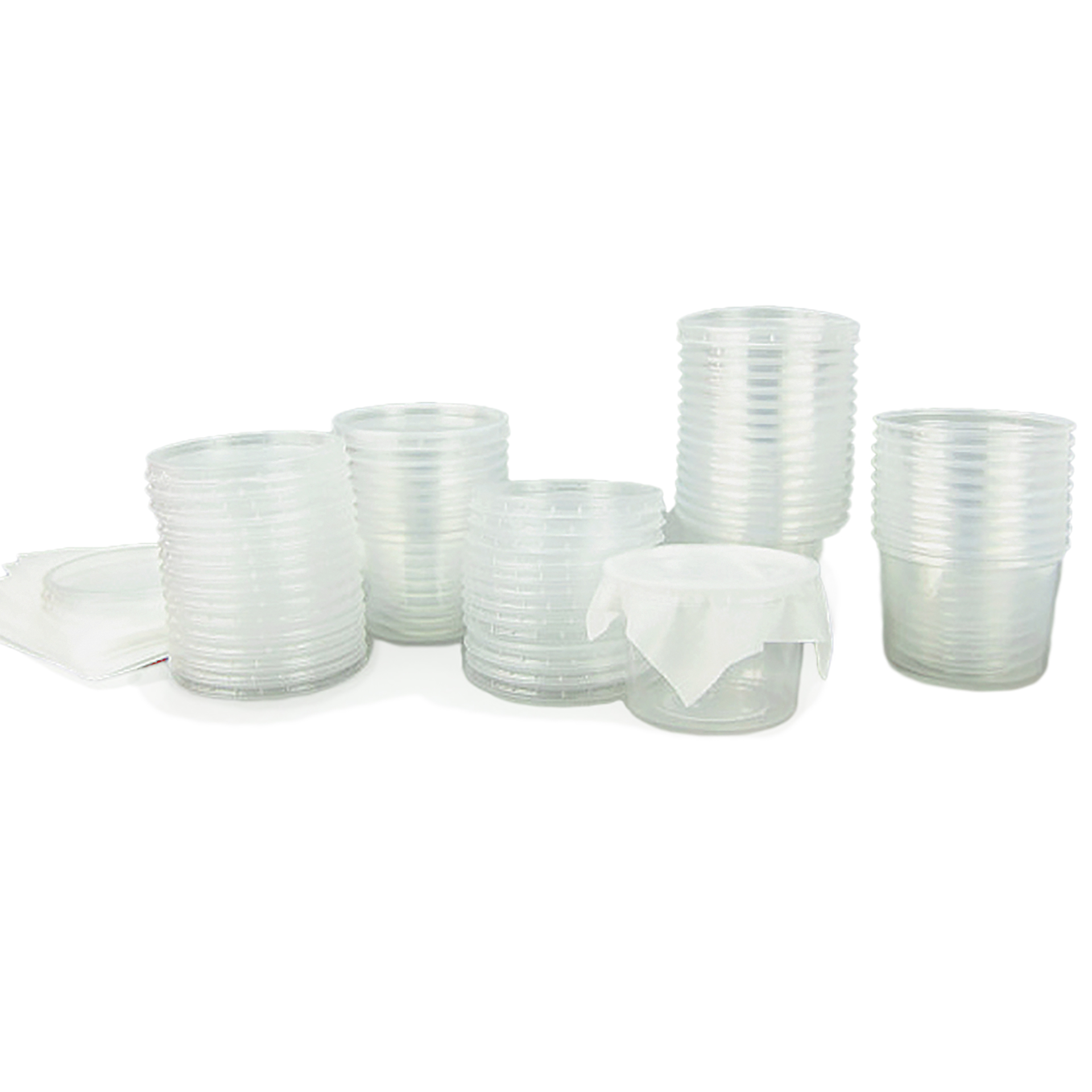 Nachbestellung Schmetterlings-Raupen, Klassensatz, 30-35 Stück