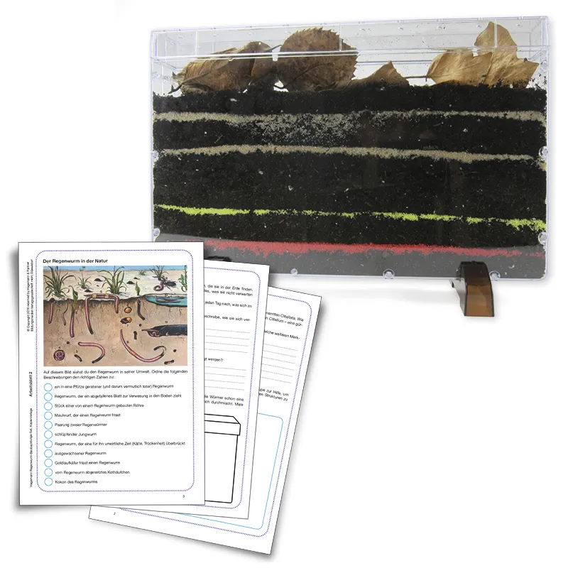 Klassen-Projektset "Tiere züchten + beobachten", 40-tlg.