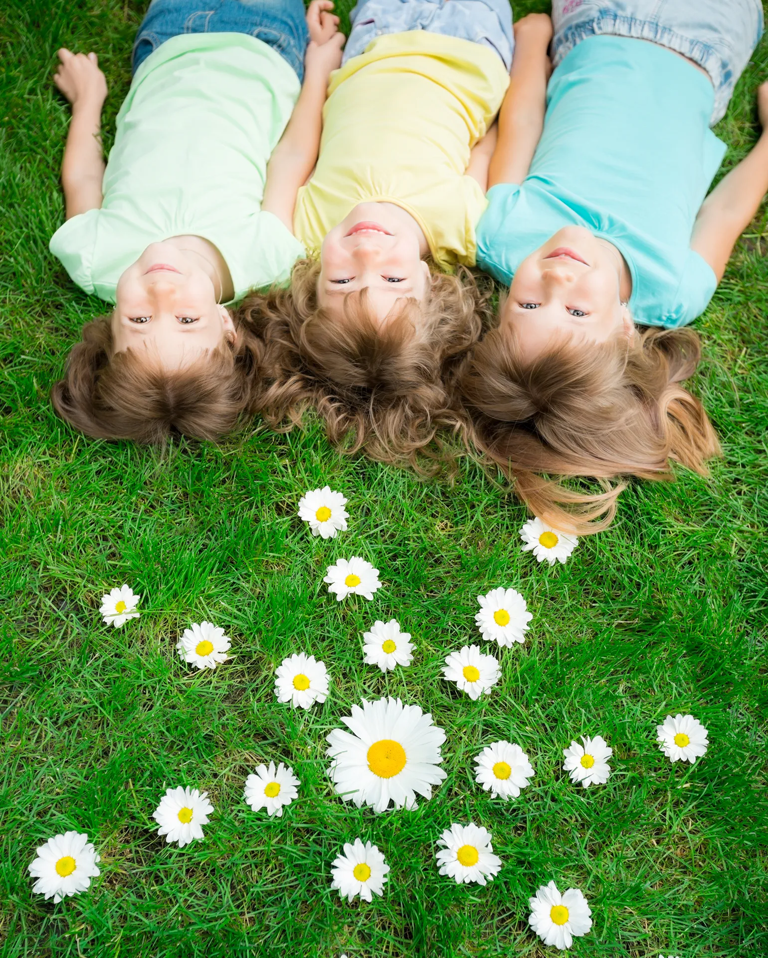 Bewegungsgeschichte Frhling 1540x1920px-1