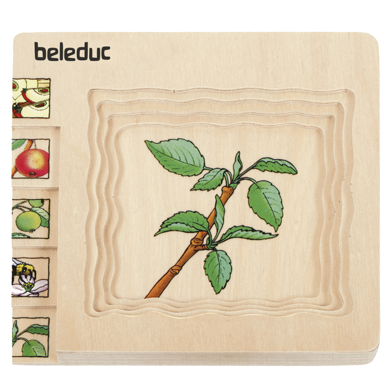 Schichten-Puzzle "Apfel", 30-tlg.