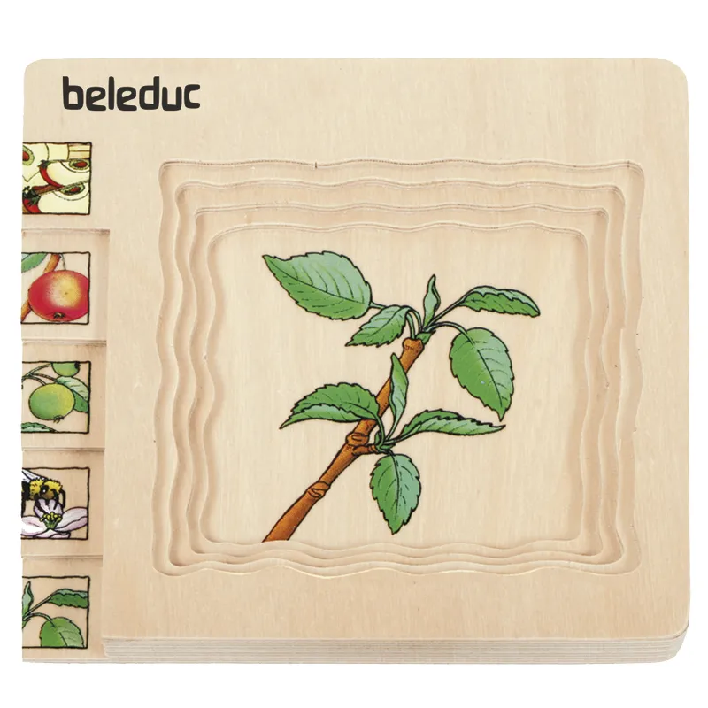 Schichten-Puzzle "Apfel", 30-tlg.