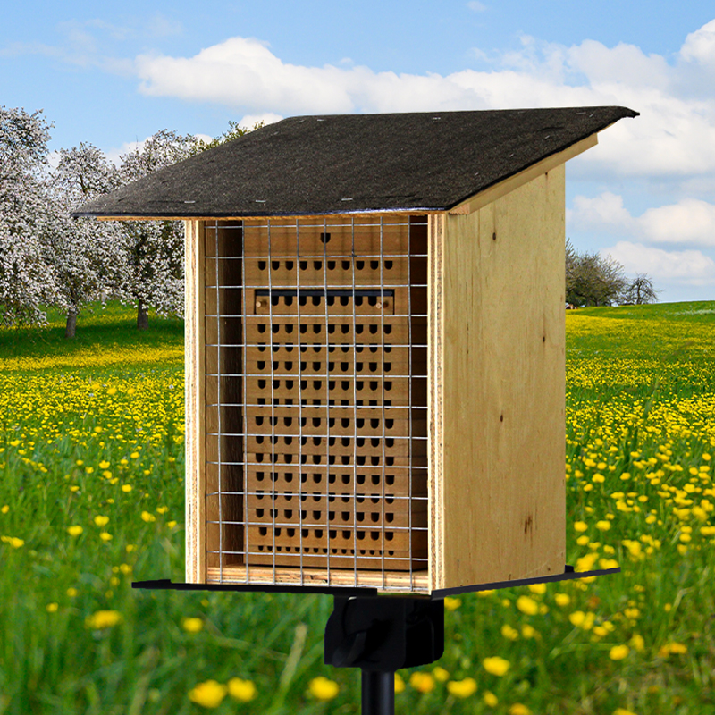 Gruppen-Projektset "Wildbienen", Rote Mauerbiene, 10-tlg.
