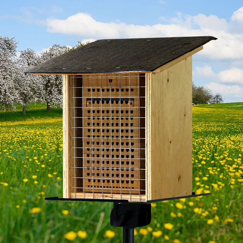 Gruppen-Projektset "Wildbienen", Rote Mauerbiene, 10-tlg.