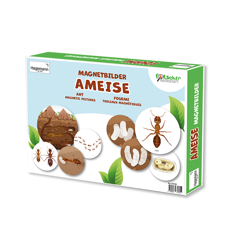 Lebenszyklus und Leben "Ameise", magnetisch, 24-tlg.