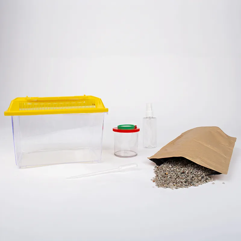 Zestaw obserwacyjny "Ślimaki", 5 szt.