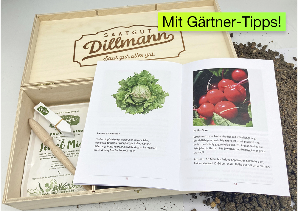 Saatgut-Box "Gartenbox für Kinder", Set 2, 65-tlg.