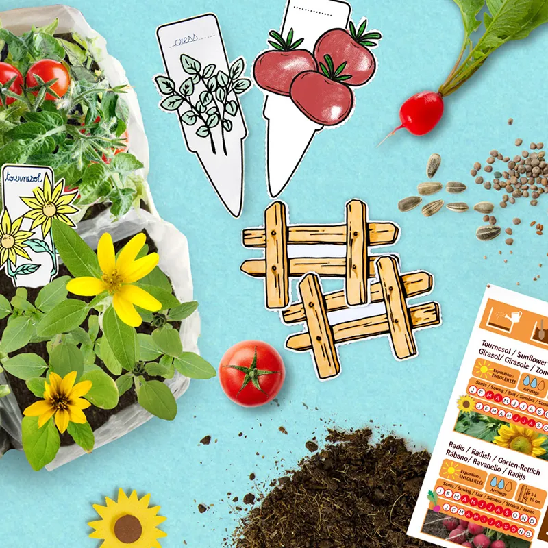 Experimentier-Set "Taschen-Pflanzset", 14-tlg.
