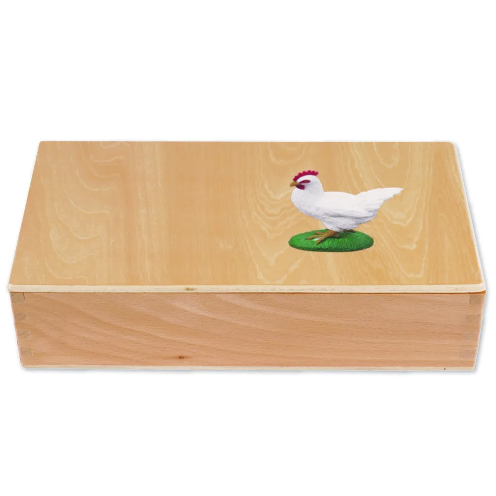 TimeTEX - Ciclul de viață la găini, în cutie din lemn "Montessori Premium"
