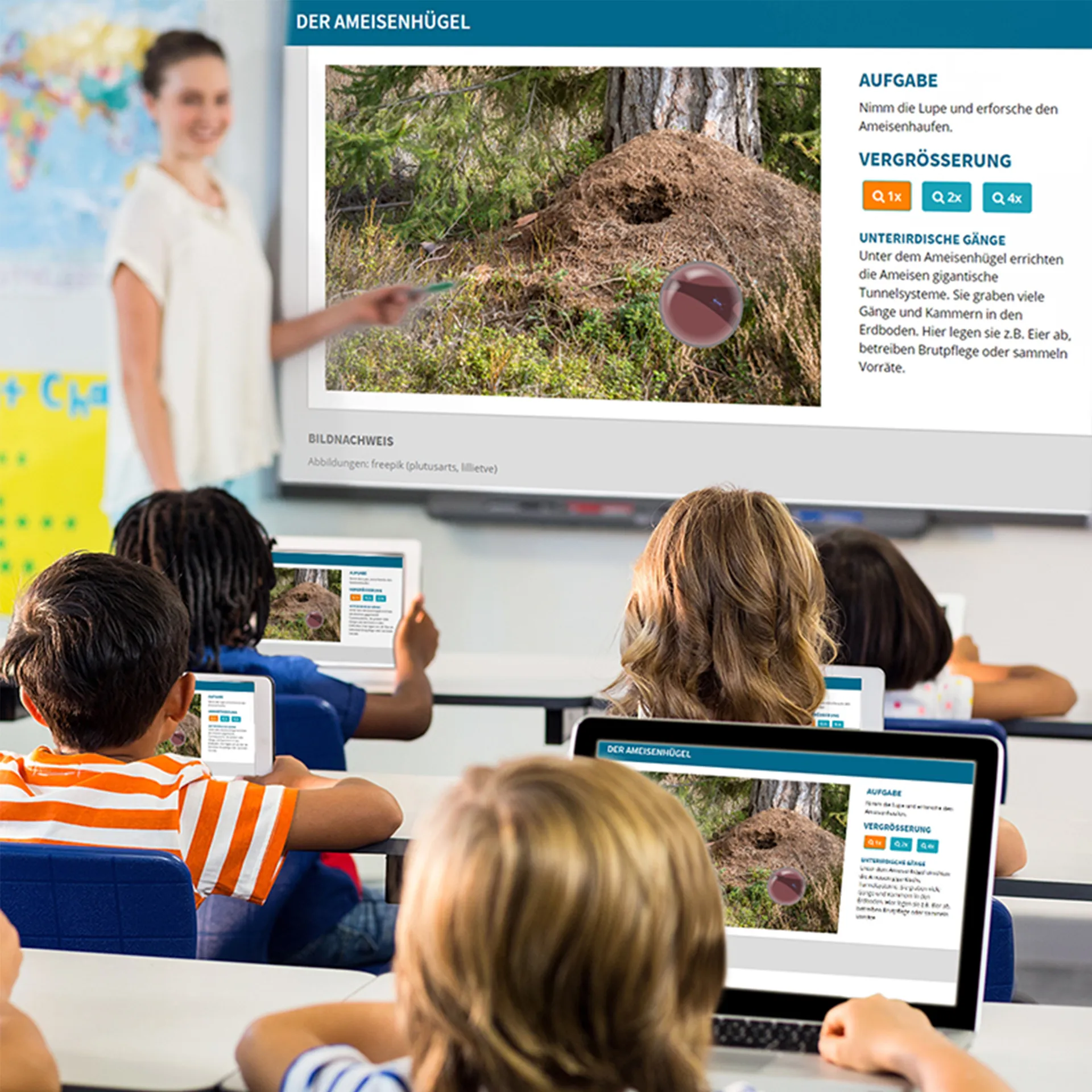 Klassen-Projektset "Tiere züchten + beobachten", 40-tlg.