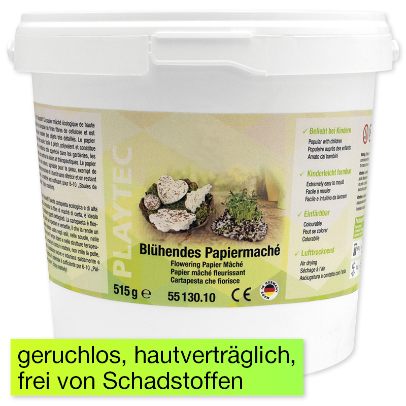 Bastelset "Blühendes Papiermaché"