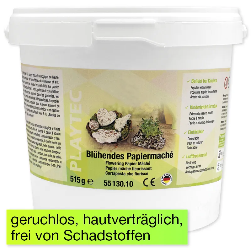 Bastelset "Blühendes Papiermaché"