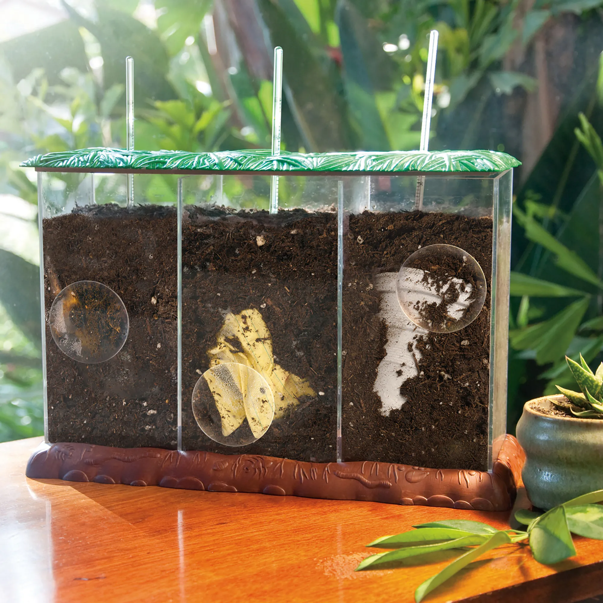 Beobachtungs-Set "Kompost", 4-tlg.
