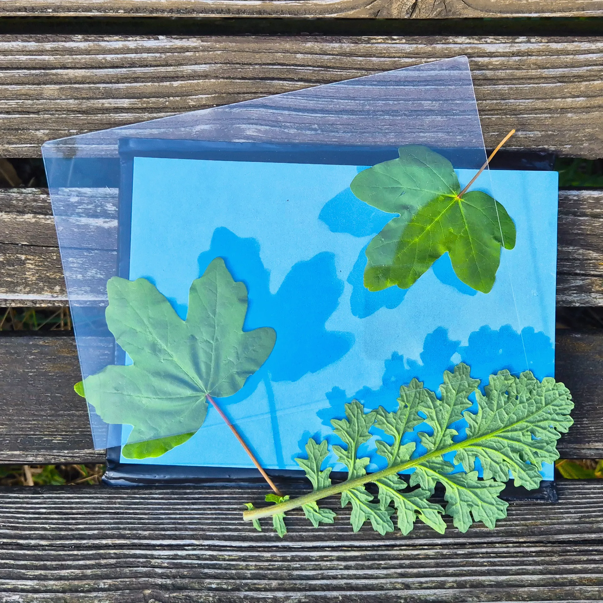 Papier fotograficzny solarny A5, z dyskiem utrwalającym, 20 arkuszy