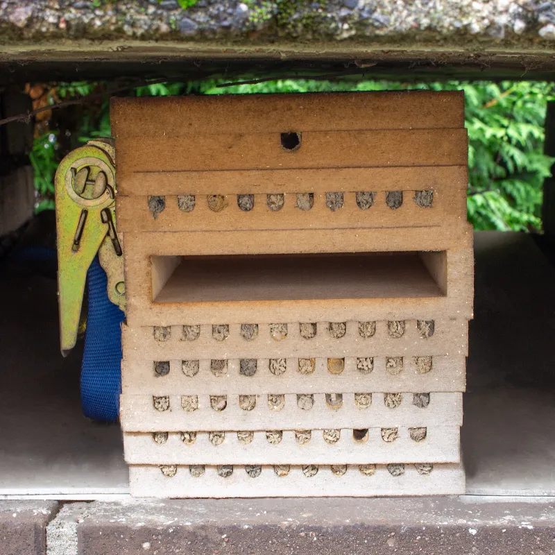 Pädagogischer Nistblock mit Beobachtungsschublade, 4-tlg.