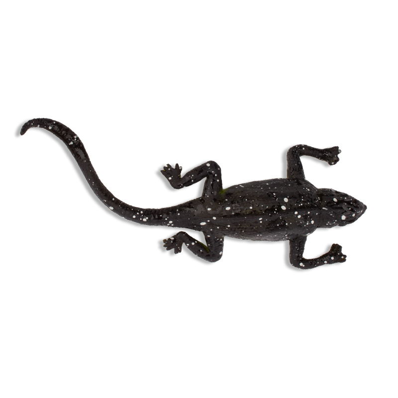 Farbwechselnde Eidechse, 12x5 cm Farbwechselnde Eidechse, 12x5 cm