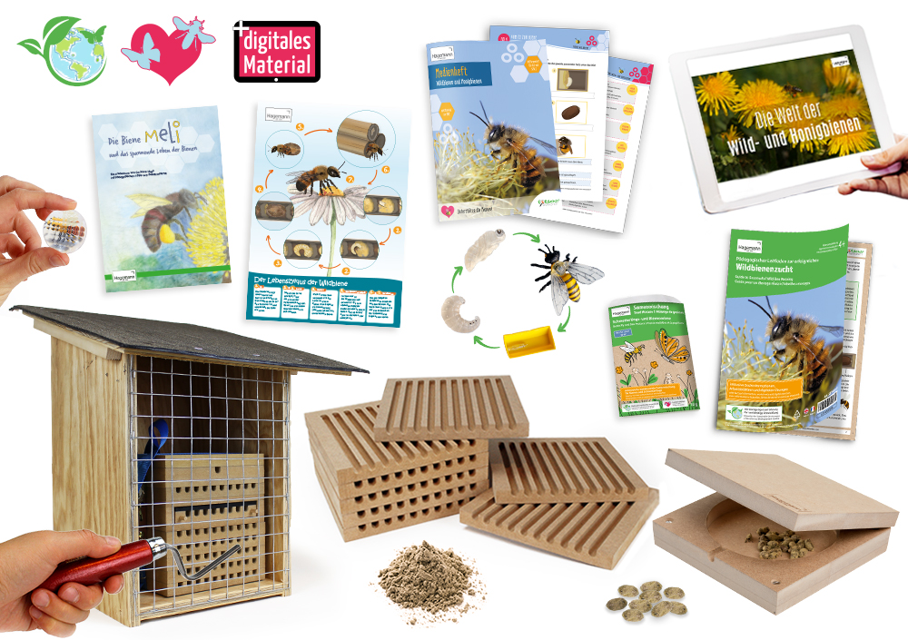 Gruppen-Projektset "Wildbienen", Rote Mauerbiene, 10-tlg.