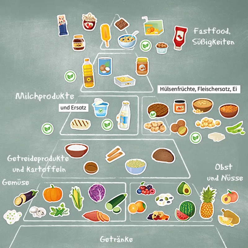 Ernährung vegetarisch & vegan, magnetisch, 57-tlg.
