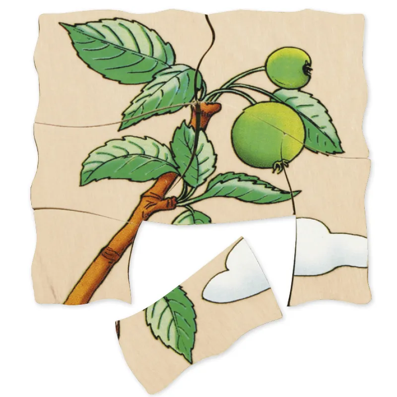 Schichten-Puzzle "Apfel", 30-tlg.
