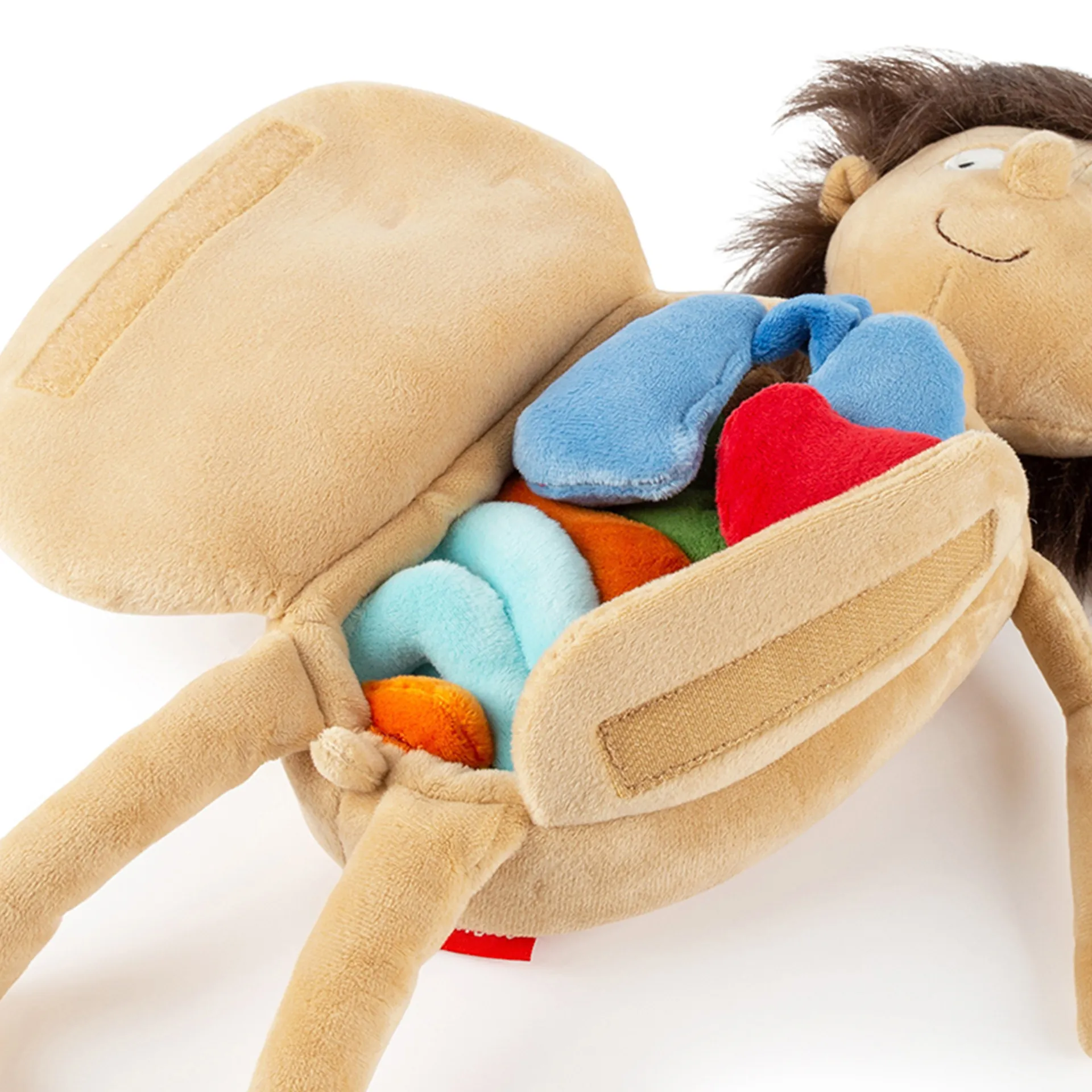 sigikid Lernpuppe "Erwins Körper", 44 cm