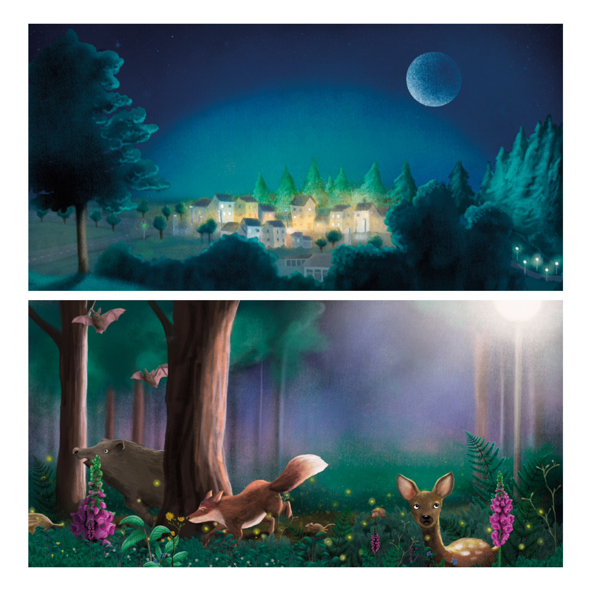 Buch "Finn Fledermaus und das Blenden in der Nacht", 48 Seiten