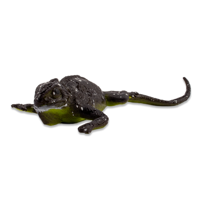 Farbwechselnde Eidechse, 12x5 cm Farbwechselnde Eidechse, 12x5 cm