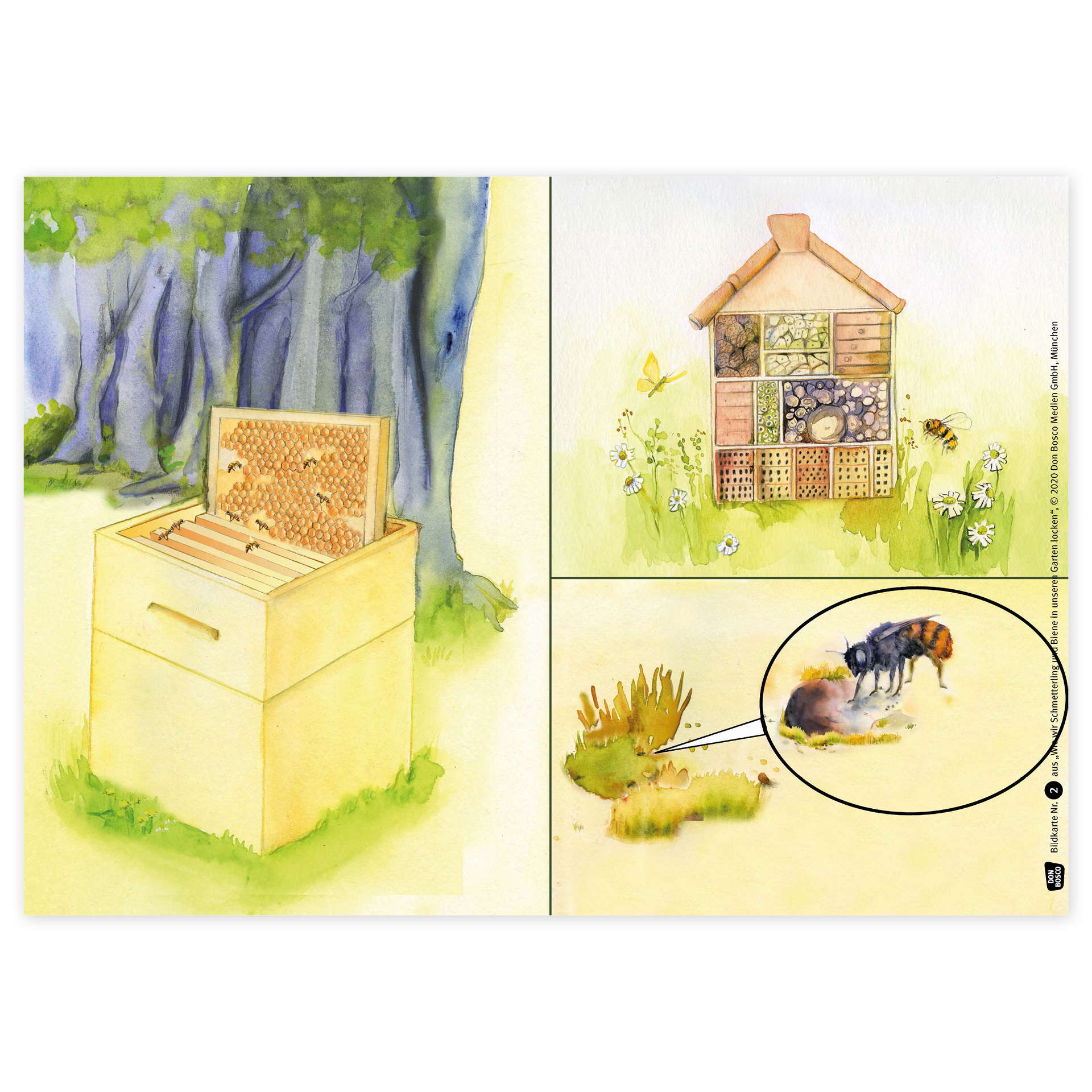 Bildergeschichten-Karten "Wie wir Schmetterling und Biene in unseren Garten locken", 12-tlg.