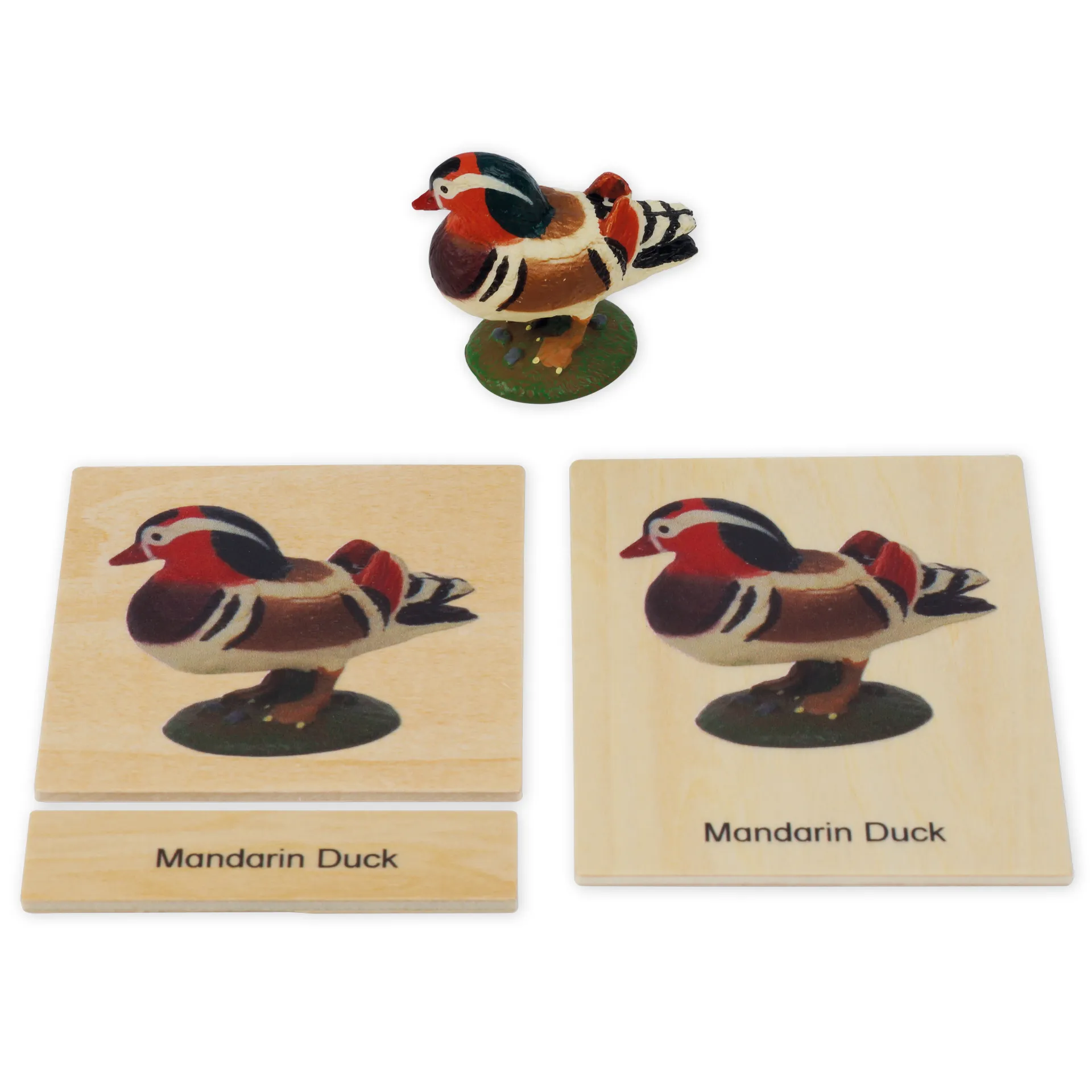 TimeTEX Mini-Tiere-Set Asien "Montessori Premium"