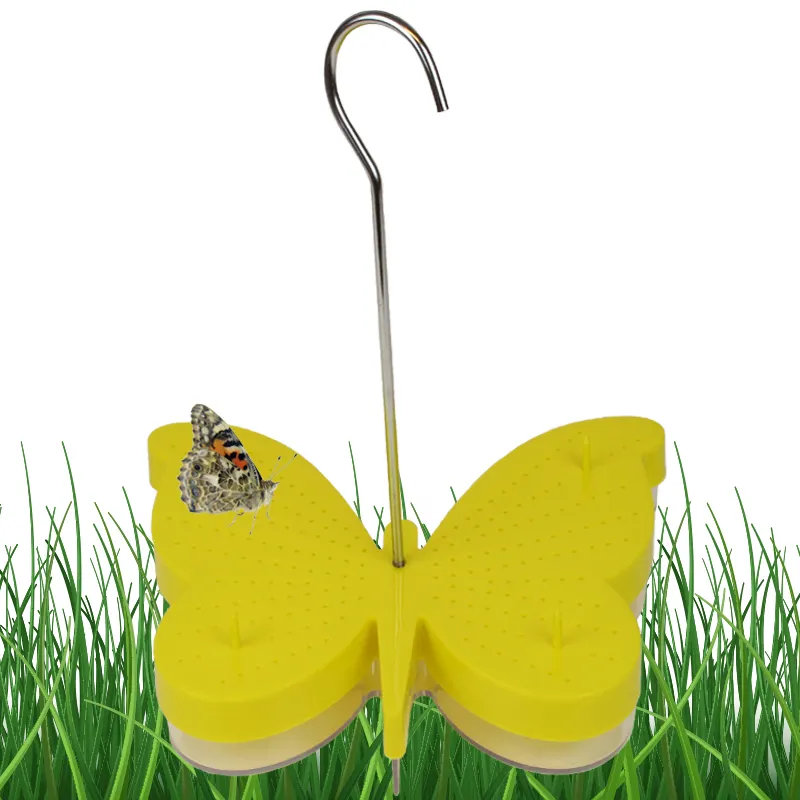 Schmetterlings-Futterbar