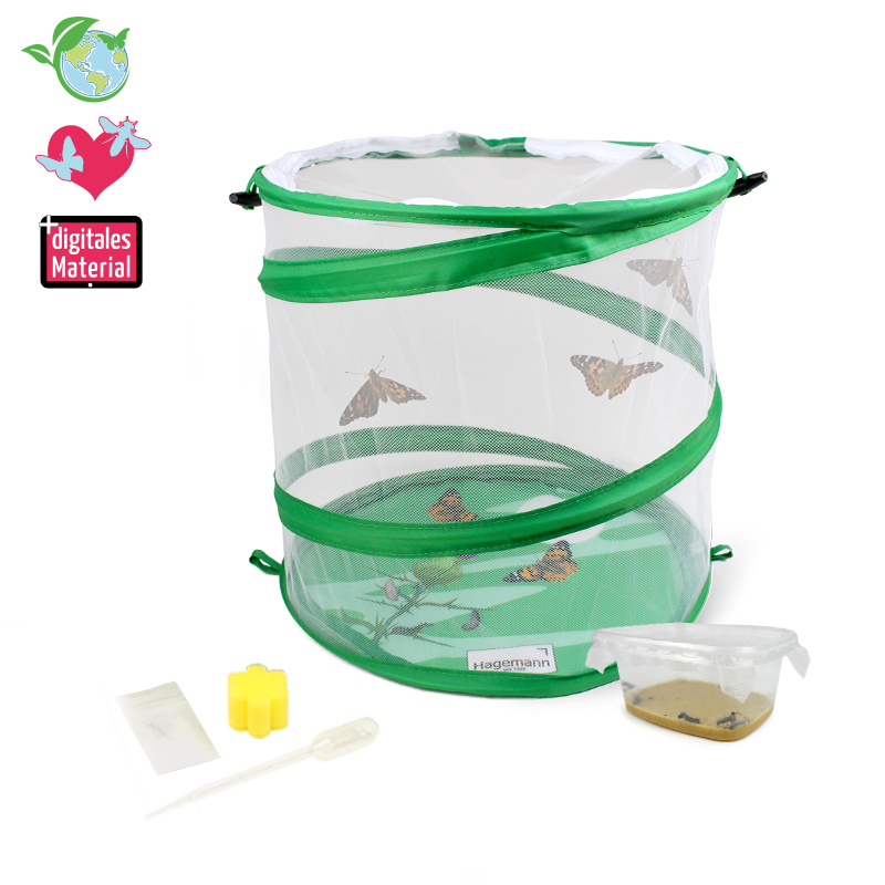 Zuchtset "Schmetterlinge", Starter-Set, 5-tlg.