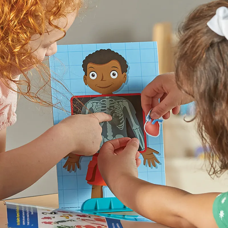 Lernspiel "Der menschliche Körper", Steck-Set, 17-tlg.