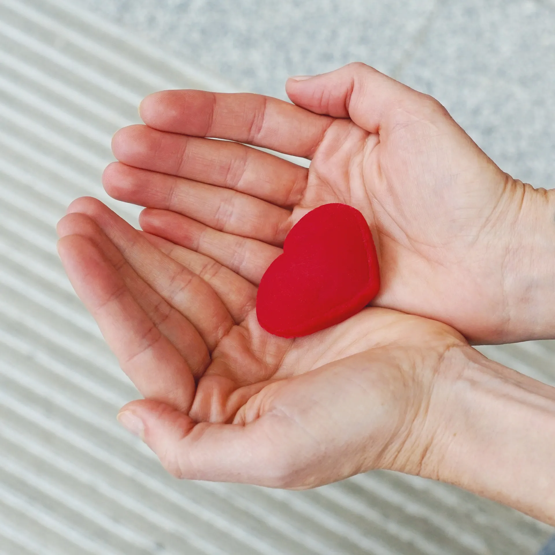 Zachte klei "Knetä" hartvorm, vegan, 80 stuks
